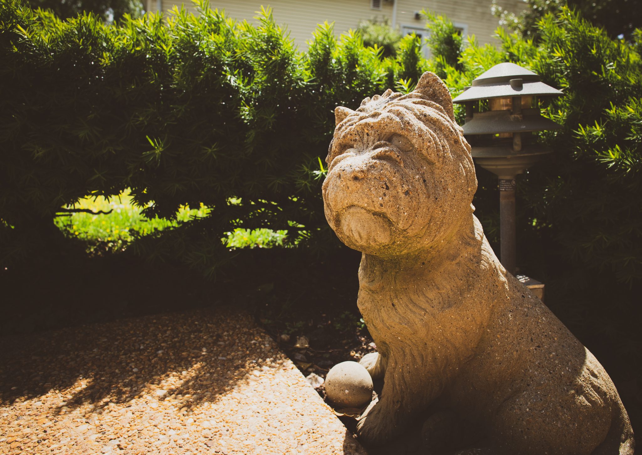 Anchors Kennel Aboard!