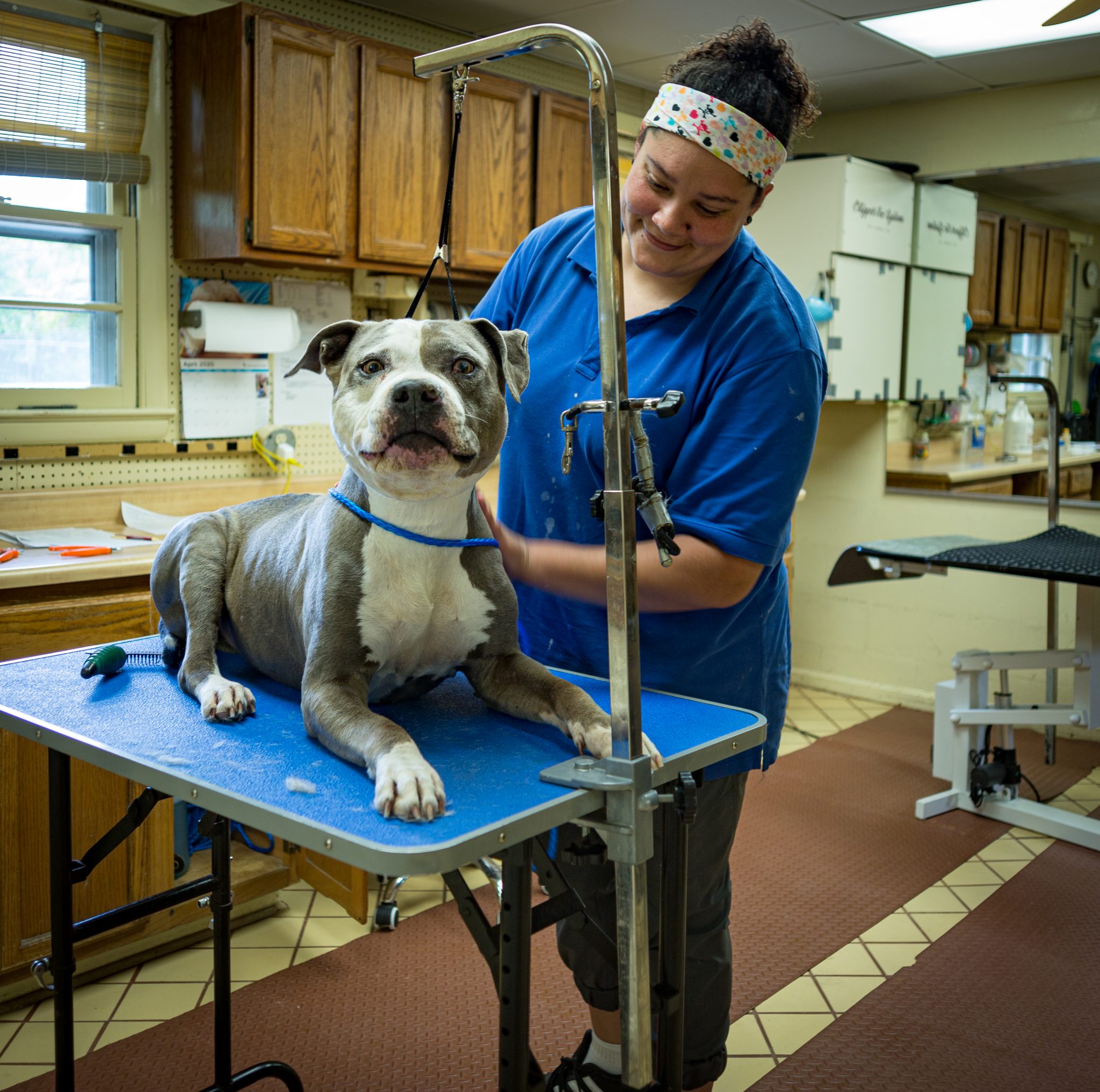 Grooming Anchors Kennel